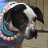 Maybelle